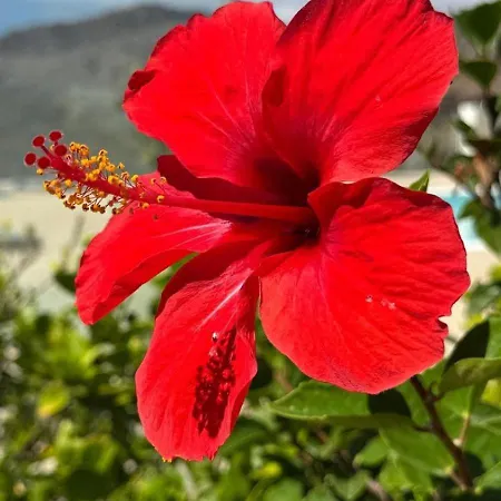 Villa Casa La Calma San Bartolomé